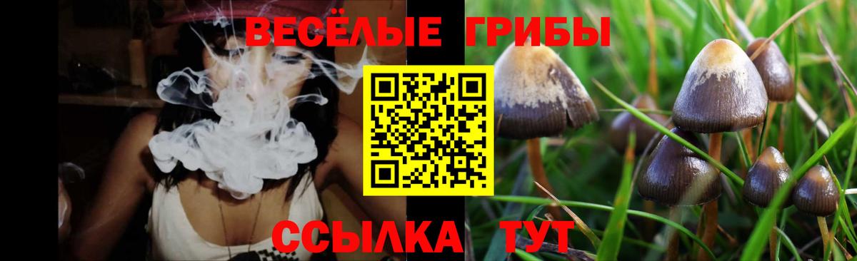 Галлюциногенные грибы GOLDEN TEACHER Люберцы
